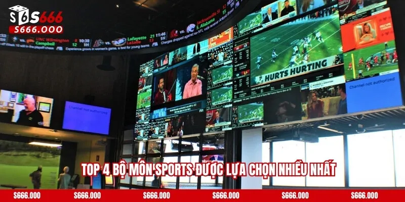 Top 4 bộ môn Sports được lựa chọn nhiều nhất